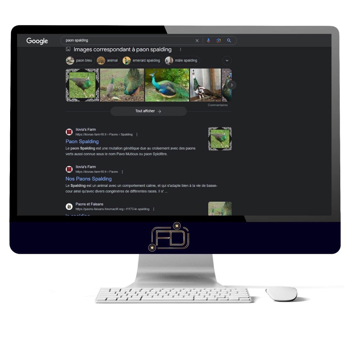 Communication digitale réussi | Première page obtenue par notre agence web France