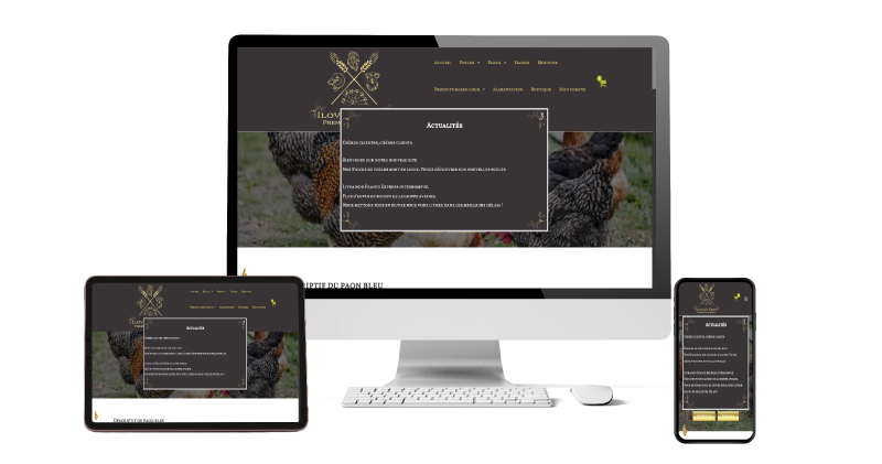 Création de sites web pour votre projet digital, Agence Web France